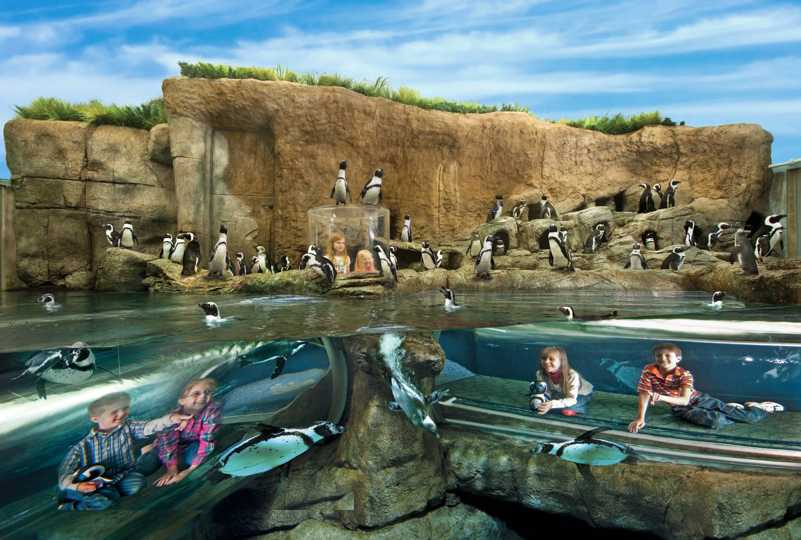 Aquariums – Design For Thriving Marine Environments